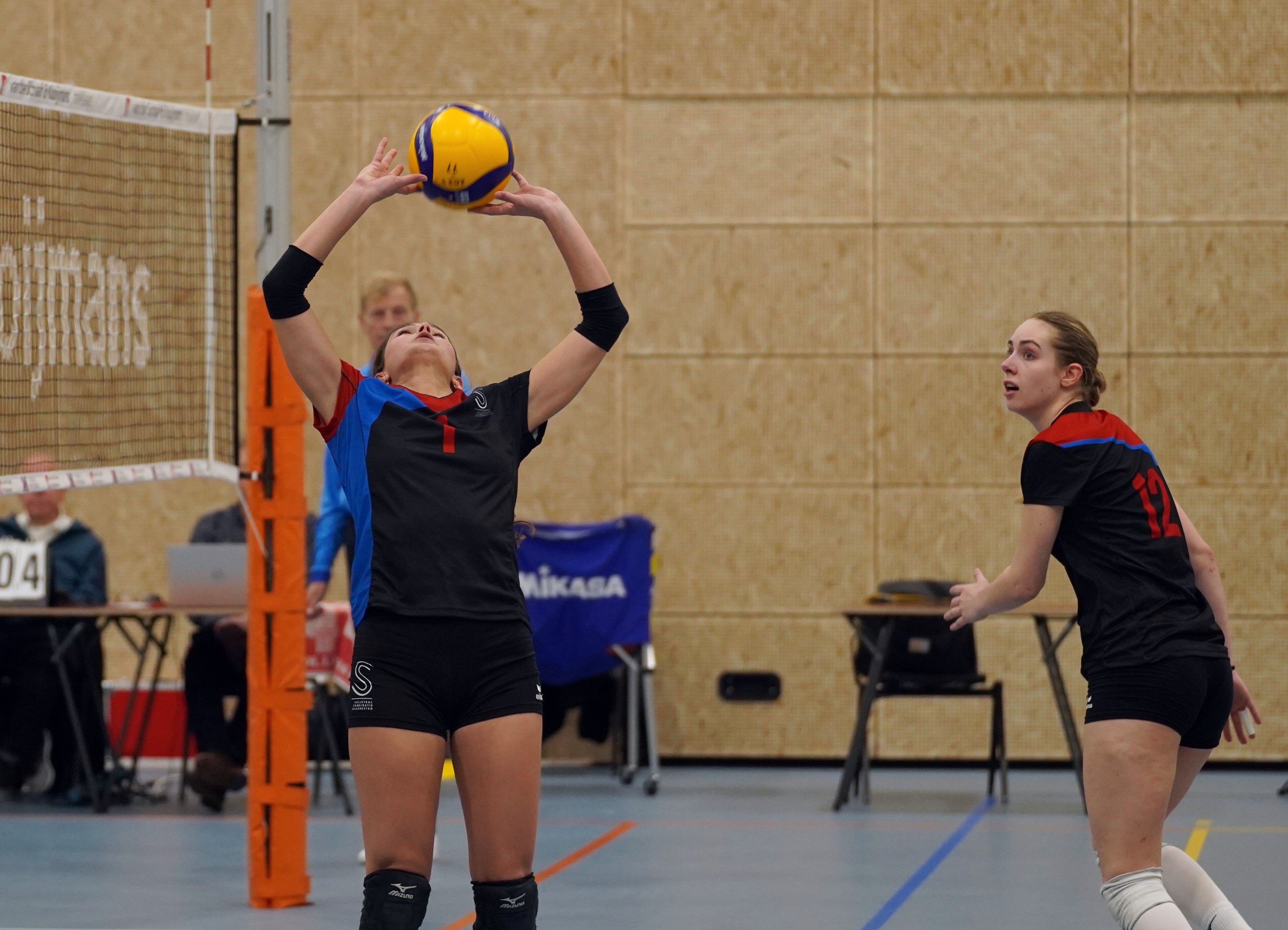 Sanne van Leeuwen1.jpg